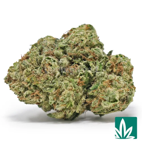 Sour Candy Strain - 1