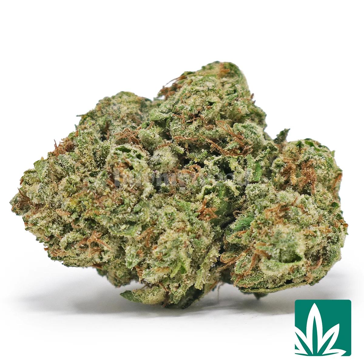 Sour Candy Strain - 1