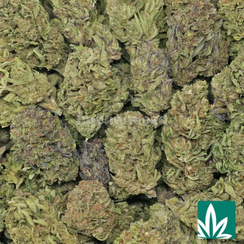 Strawberry Fumez Strain - 2