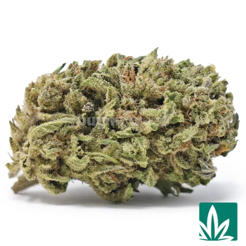 Strawberry Fumez Strain - 1