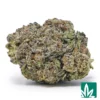 Tres Leches Strain - 1
