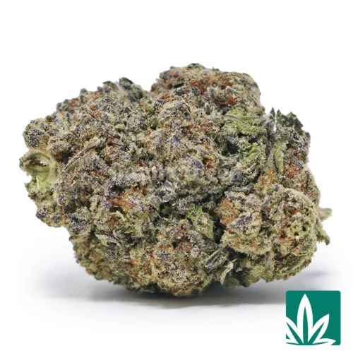 Tres Leches Strain - 1