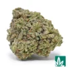 White Truffle Strain - 1