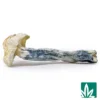Wizard Strain - 1