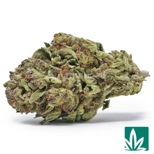 Cake Pop Strain - 1