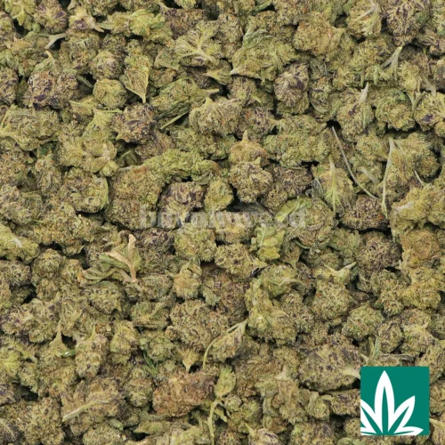 Cali Gas 'Smalls' Strain - 2