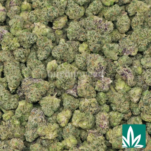 Exotic LCG 'Smalls' Strain - 2