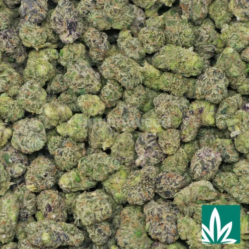 Exotic Super Runtz 'Smalls' Strain - 2