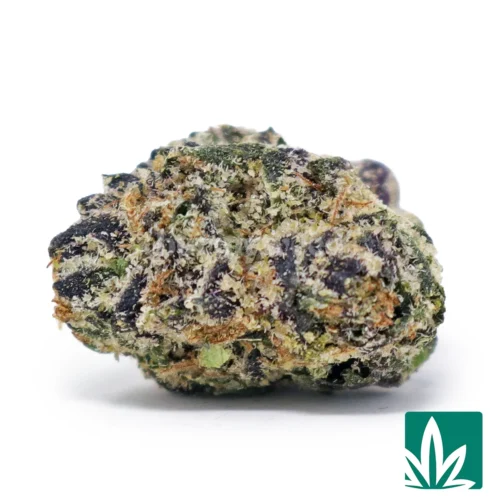 Exotic Super Runtz 'Smalls' Strain - 1