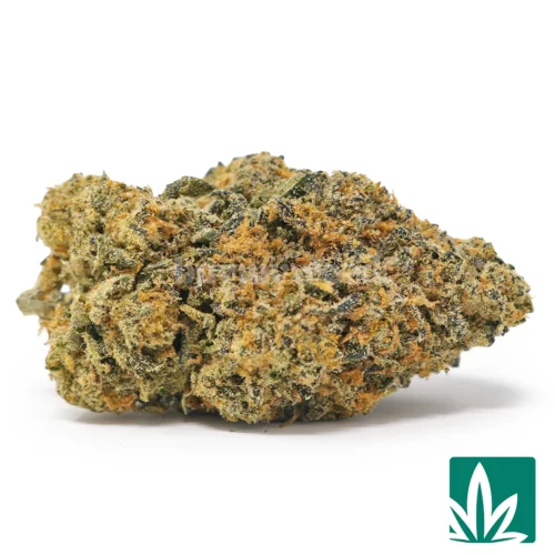 Gelato 41 Strain - 1