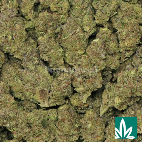 Ice strain - 2