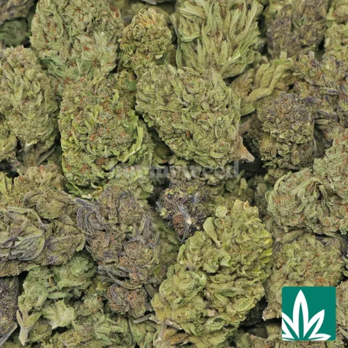 Value Jack Herer Strain - 2