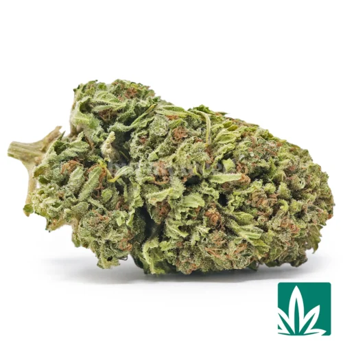 Value Jack Herer Strain - 1