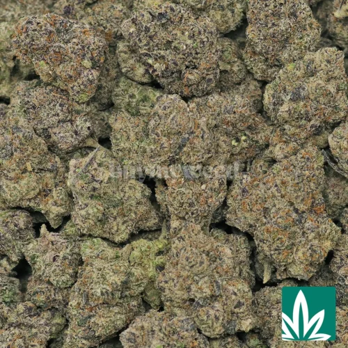 Pink Frost Strain - 2