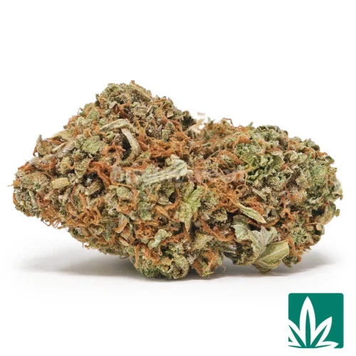 Platinum Bubba Strain - 1