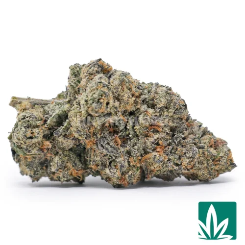 Purple Cherry Strain - 1