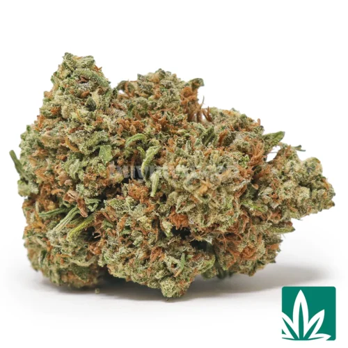 Sunset Black Ice Strain - 1