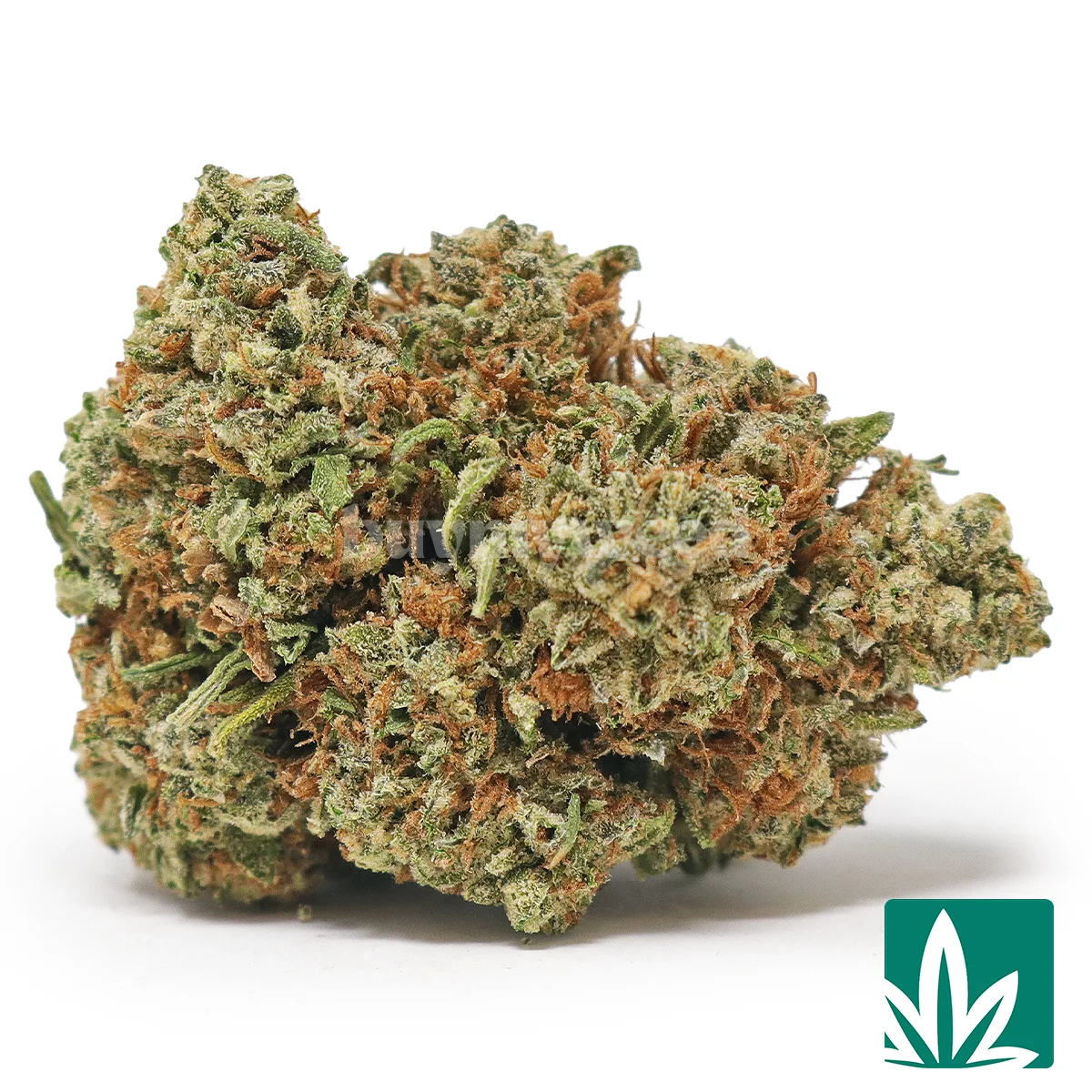 Sunset Black Ice Strain - 1