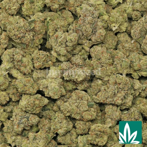 Tahoe OG Strain - 2
