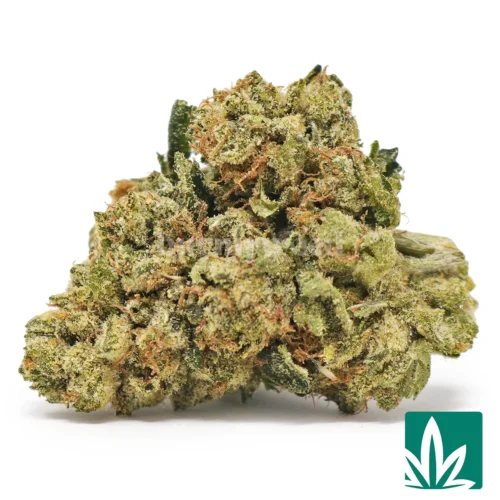 Tahoe OG Strain - 1