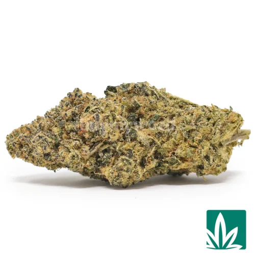 Top Shelf Jack Herer Strain - 1