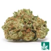 Value Gelato King Strain - 1