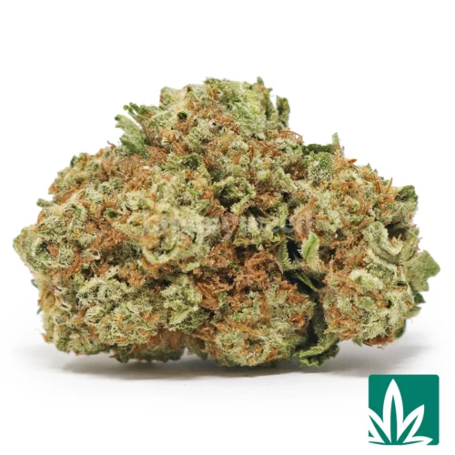 Value Gelato King Strain - 1