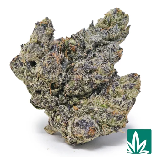 White Caviar Strain - 1