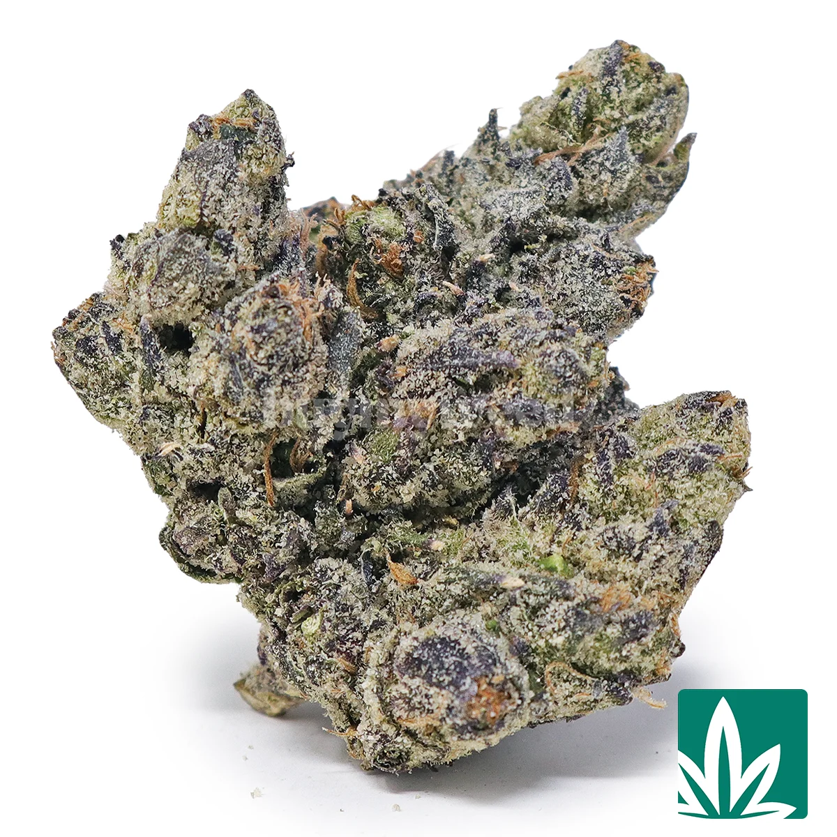 White Caviar Strain - 1