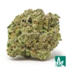 XXX Strain - 1