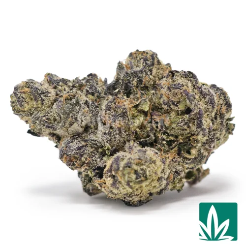 Blueberry Caviar Strain - 1