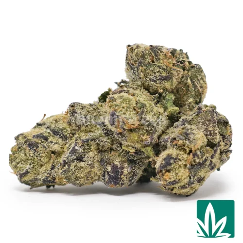 Blue Zlushi Strain - 1