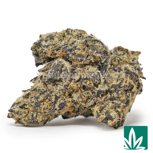 Halloween Value 224g Bundle - Image 5
