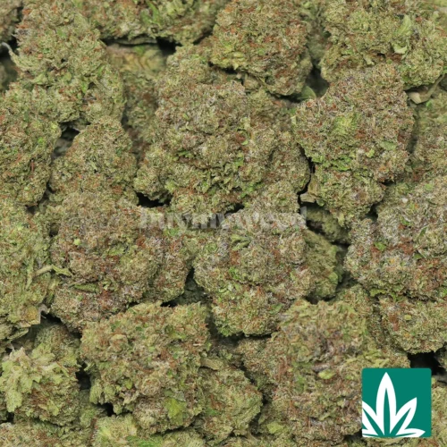 Value Candy Gas Strain - 2