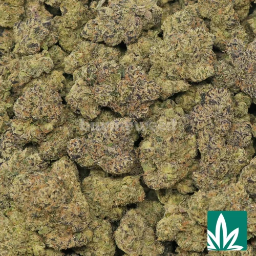 Cherry Blast Strain - 2