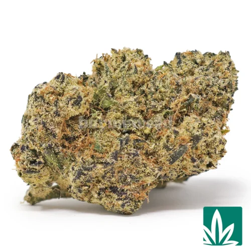 Cherry Blast Strain - 1