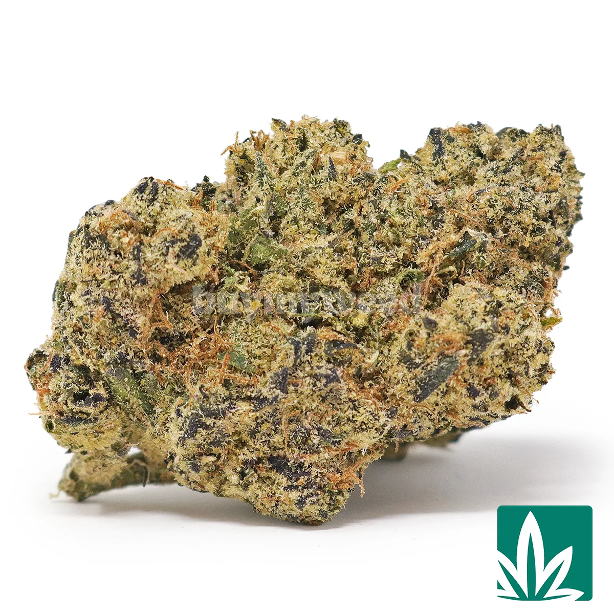 Cherry Blast Strain - 1
