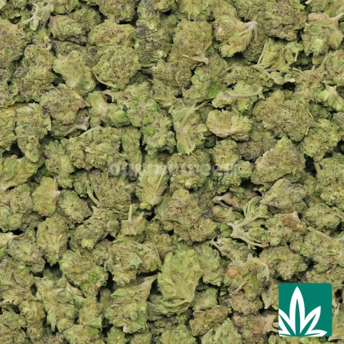 Cherry Punch 'Smalls' Strain - 2