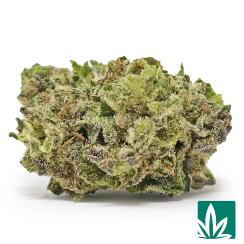 Cherry Punch 'Smalls' Strain - 1