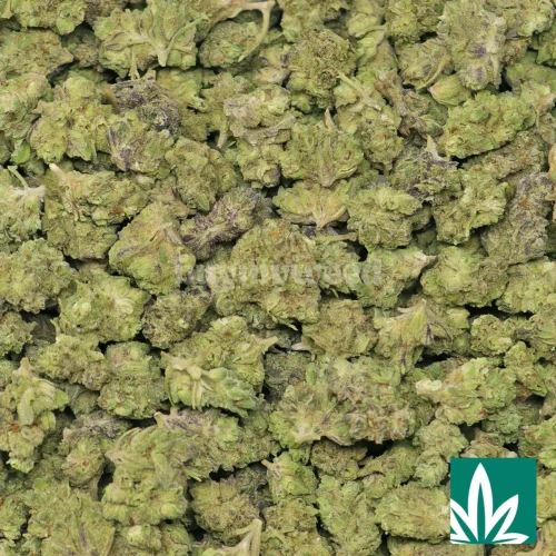 Cookies 'Smalls' Strain - 2
