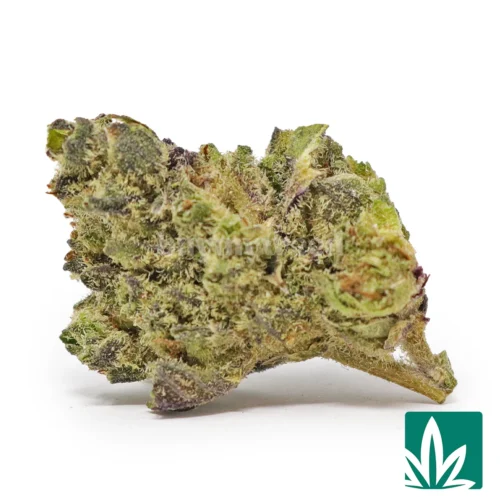 Cookies 'Smalls' Strain - 1