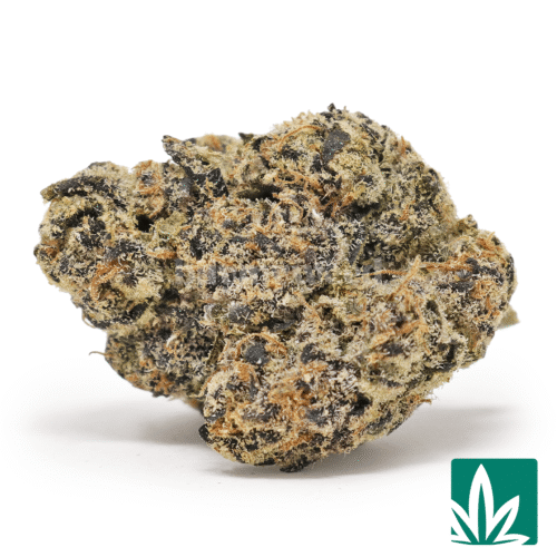 Alternative view of Halloween Value 224g Bundle