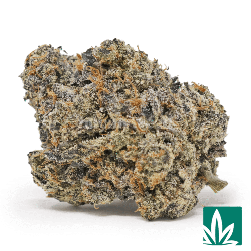 Halloween Value 224g Bundle - Image 3