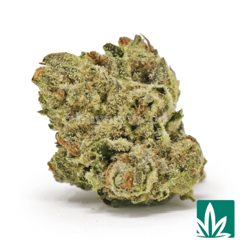 G45 'Smalls' Strain - 1