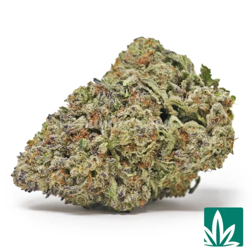 King Gelato Strain - 1