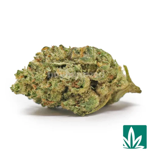 Grape Fruit 'Smalls' Strain - 1