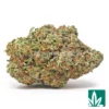 Italian Ice Strain - 1