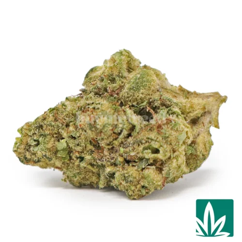 Pink Guava 'Smalls' Strain - 1