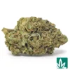 Purple Punch Strain - 1