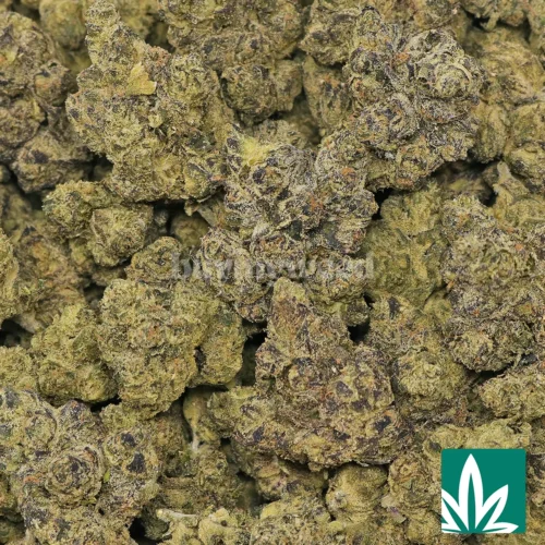 Razzle Dazzle Strain - 2